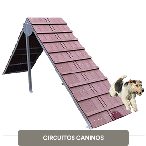 Circuitos Caninos